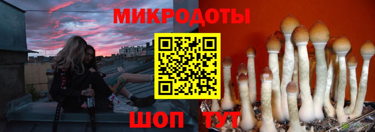 Павловский Посад  Псилоцибиновые грибы ЛСД  Вход с VPN 